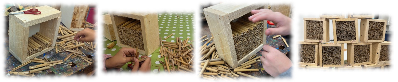 Wildbienen Wildbienen